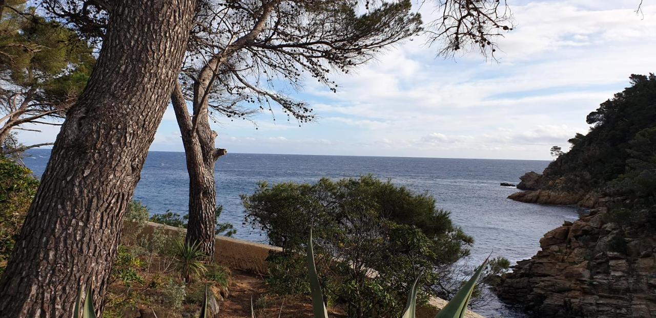 Maison Provencale Cavalaire-sur-Mer Exterior foto